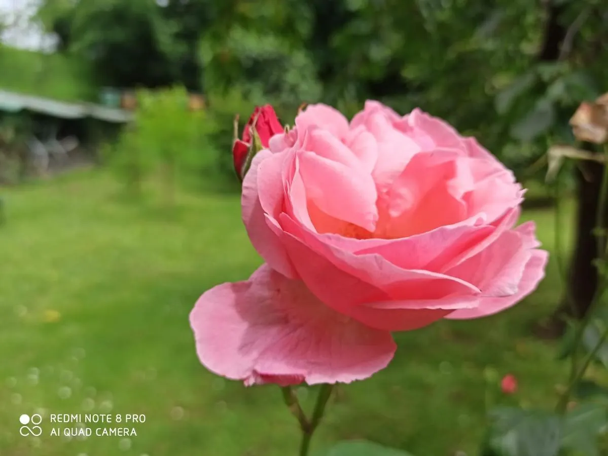 Сasa de vacaciones Villa Casa Bibi Bérgamo